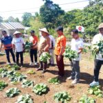 Apresiasi Kebun PKS Malra Abdullah Asis Sangkala Dorong Jadi Percontohan DPD PKS se-Maluku