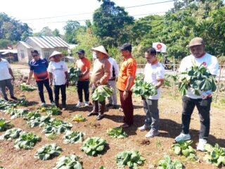 Apresiasi Kebun PKS Malra Abdullah Asis Sangkala Dorong Jadi Percontohan DPD PKS se-Maluku